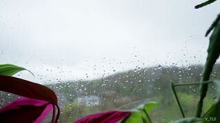 Close and intimate in the rain