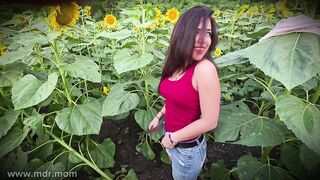 Sunflower Field Encounter