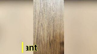 Cumpilation Ultimate Edit