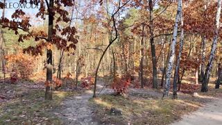 Blogger Filmed Stranger's Pickup Outdoors Creampie Sex and Blowjob Kleomodel